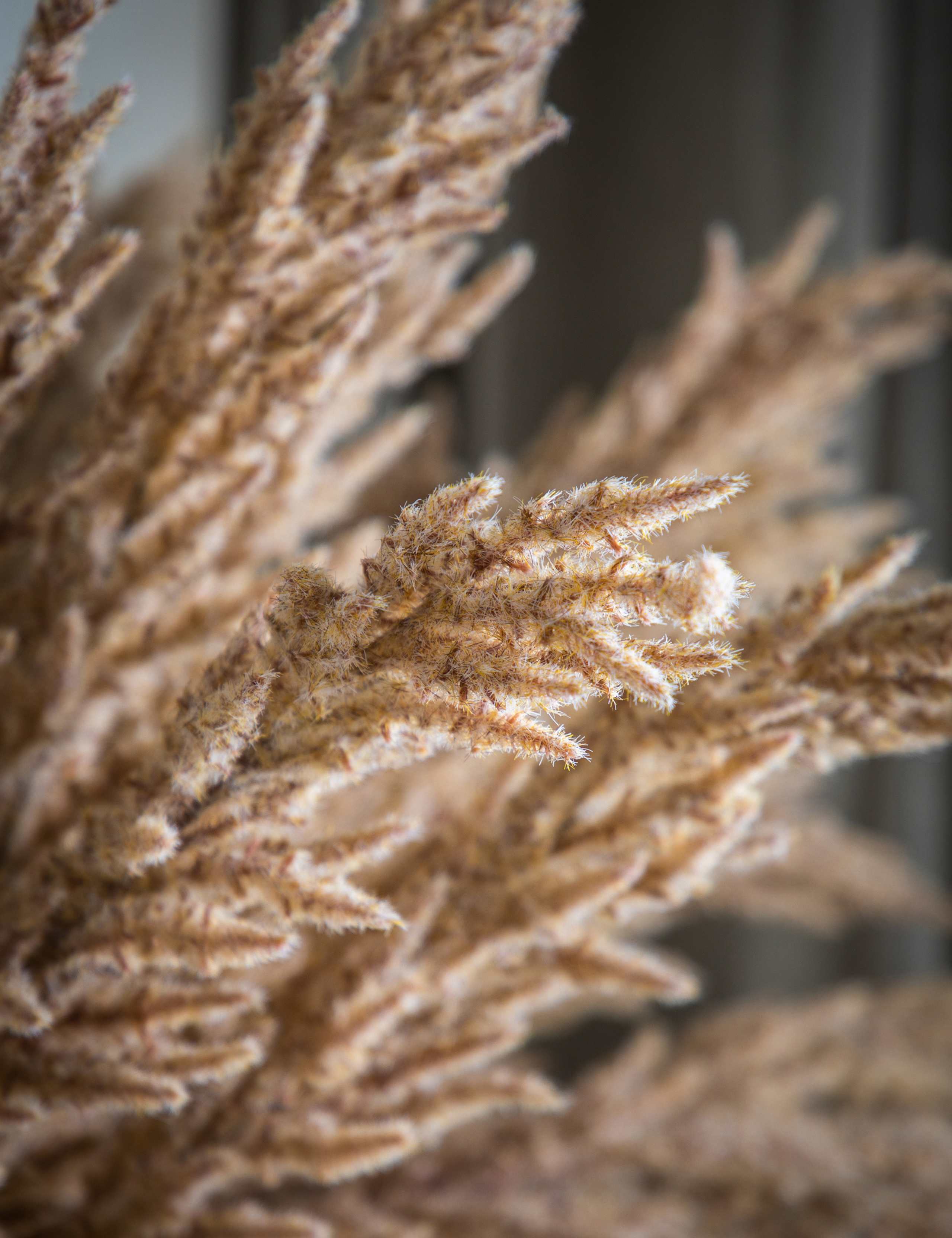 Set of 3 Artificial Pampas Grass Single Stems 3 of 3