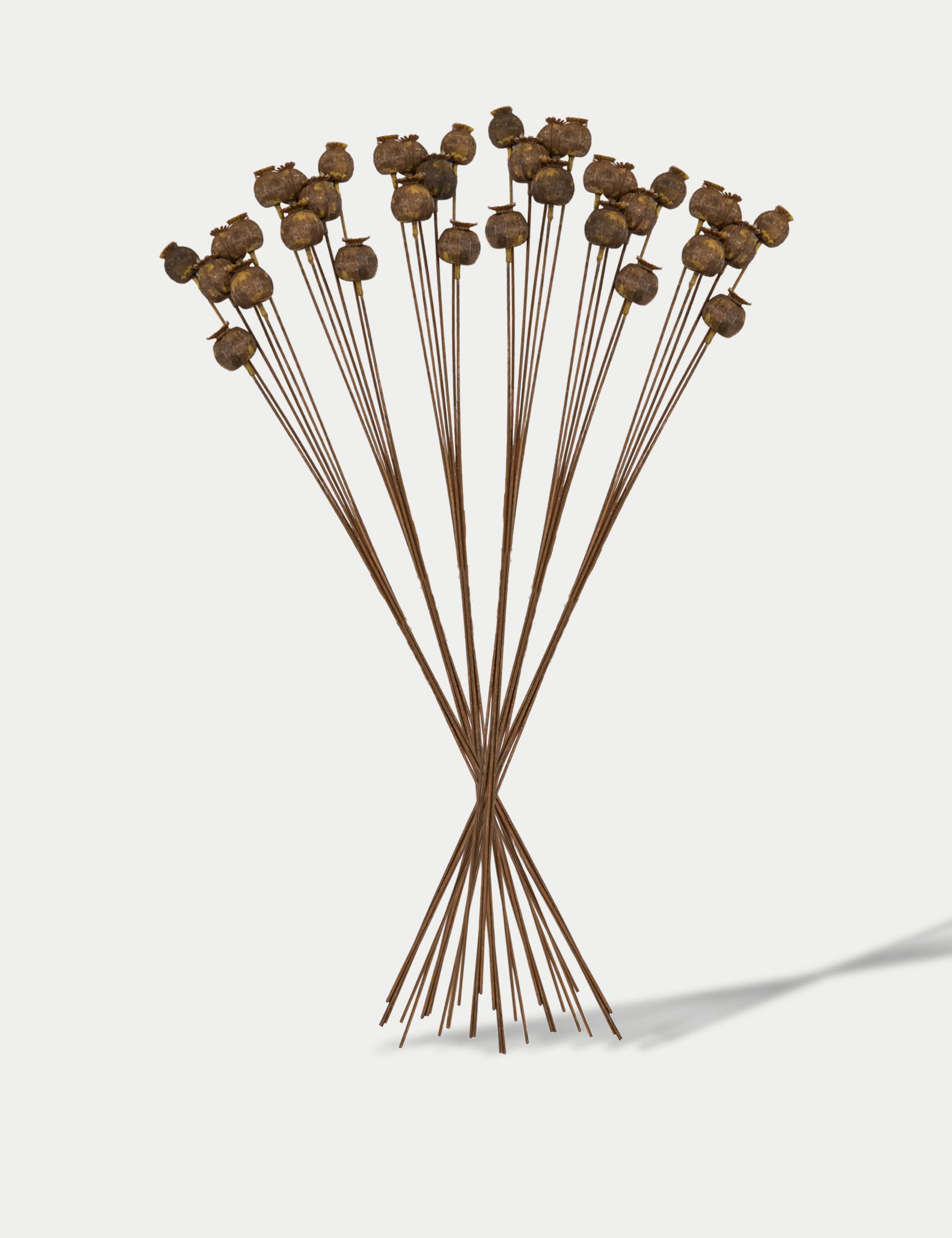 Set of 6 Artificial Dried Poppy Pod Single Stems 1 of 4
