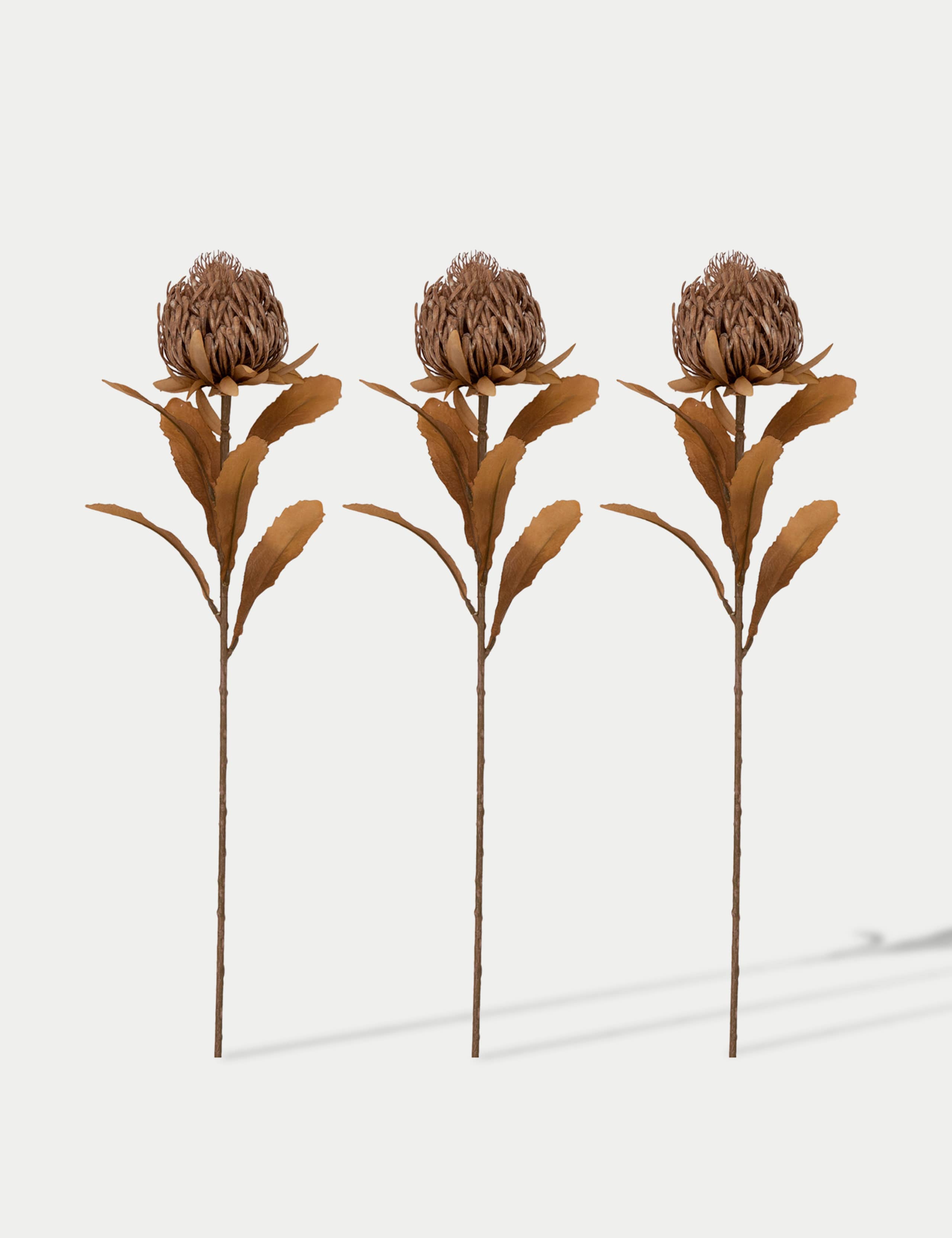 Set of 3 Artificial Dried Protea Single Stems 1 of 3