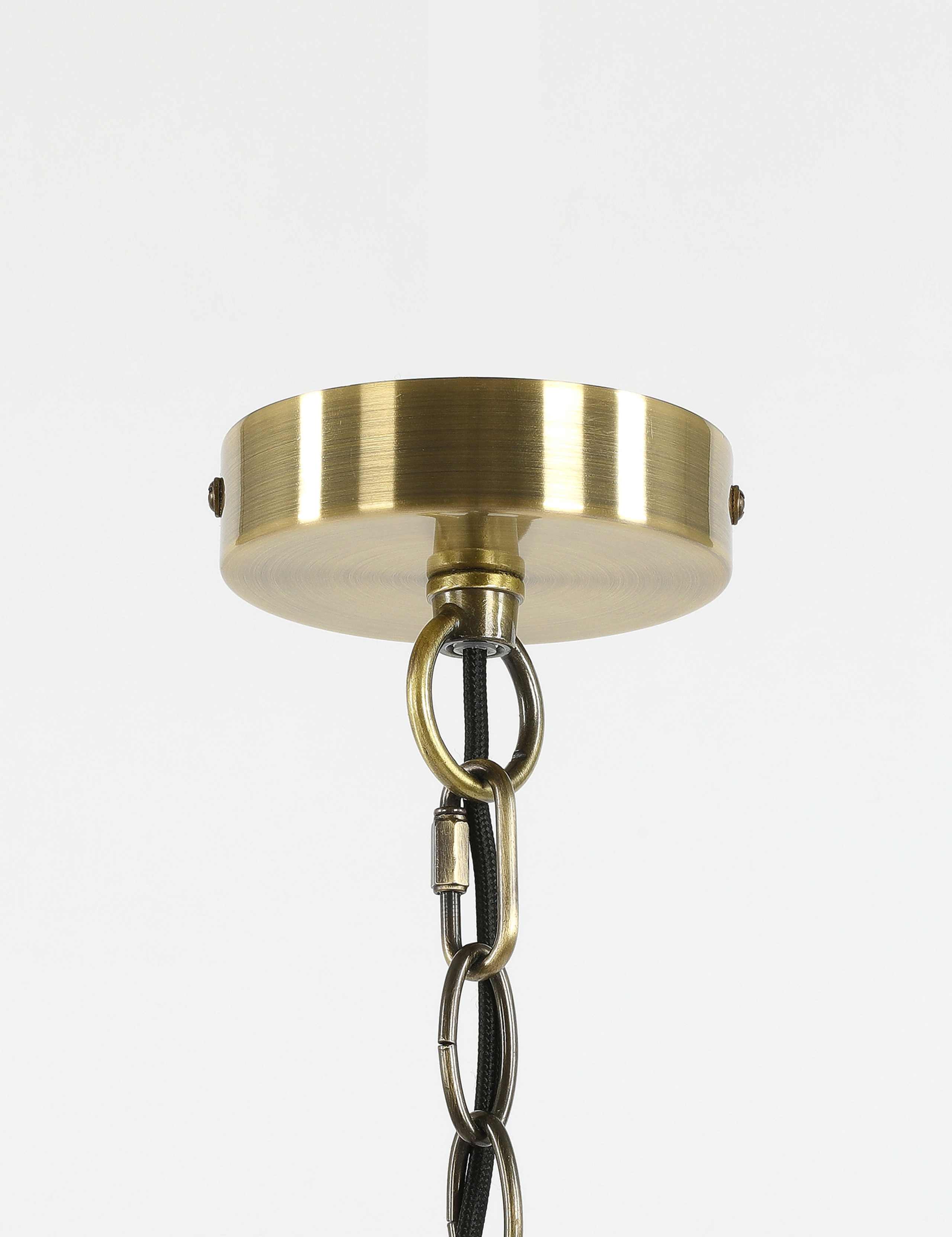 Leaf Pendant Light 5 of 9
