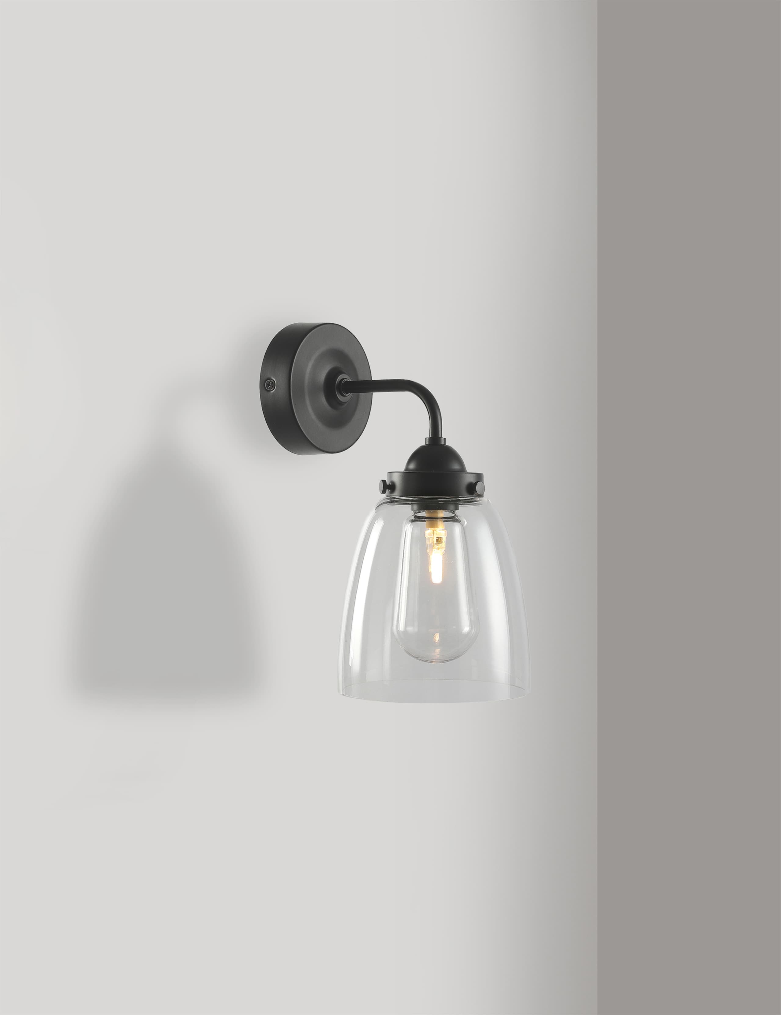 Outdoor Glass Shade Wall Light 6 of 9