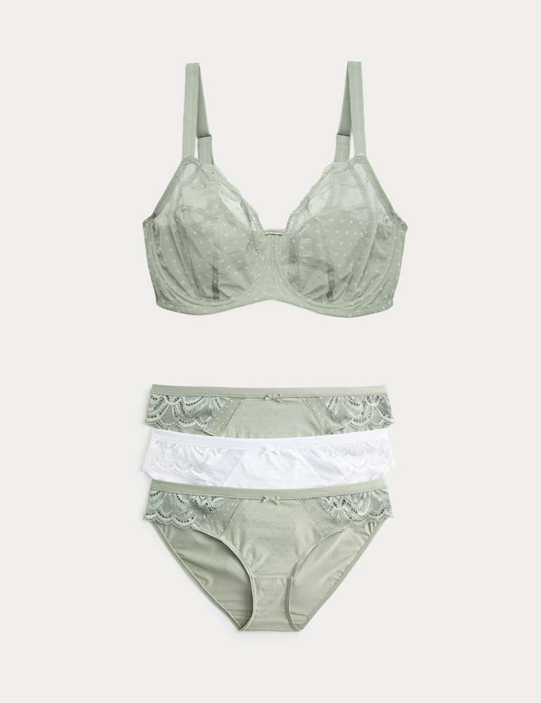 Mesh Wired Extra Support Bra Set F-J 2 of 6