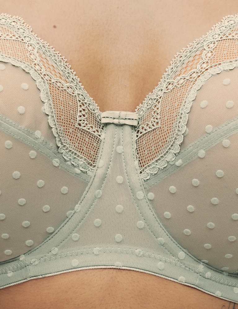 Mesh Wired Extra Support Bra Set F-J 3 of 6