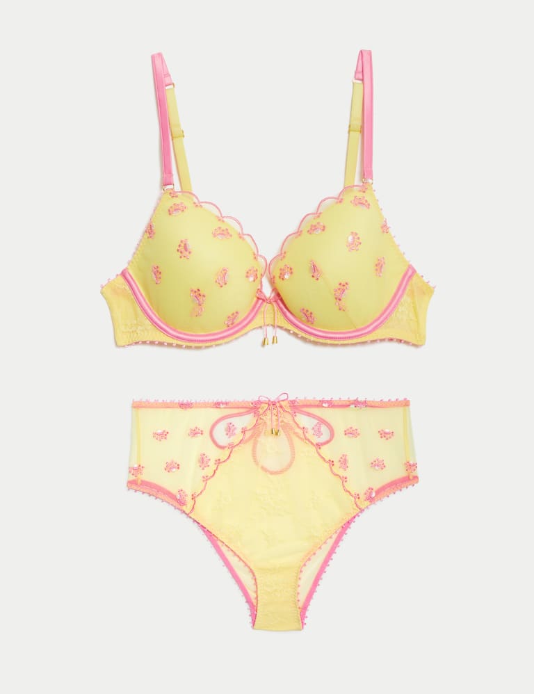 Carita Embroidery Wired Plunge Bra Set A-E 2 of 6