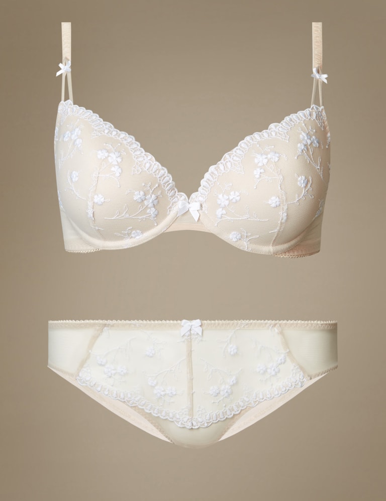 2 Pack Embroidered Set with Padded Plunge A-DD 3 of 8