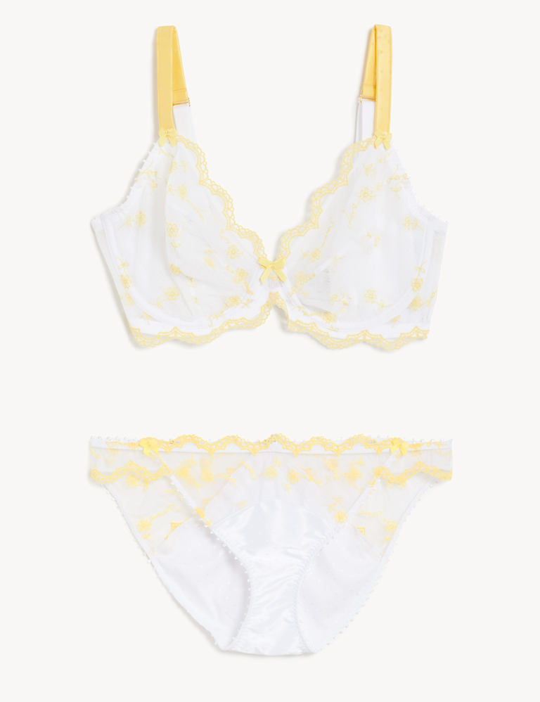 Evaline Wired Plunge Bra Set F-H 2 of 6