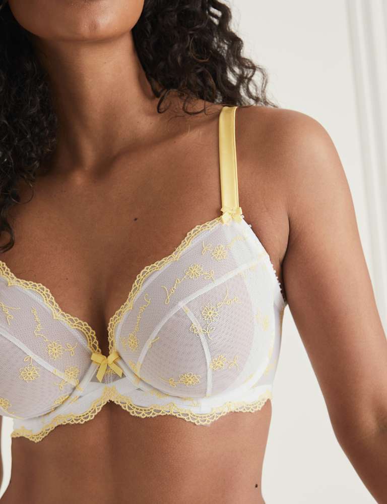 Evaline Wired Plunge Bra Set F-H 3 of 6