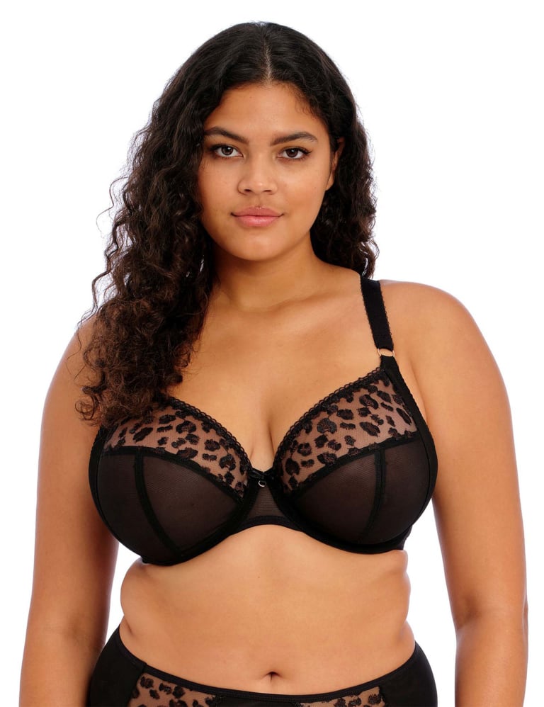 Namrah Embroidered Wired Plunge Bra Set 3 of 6