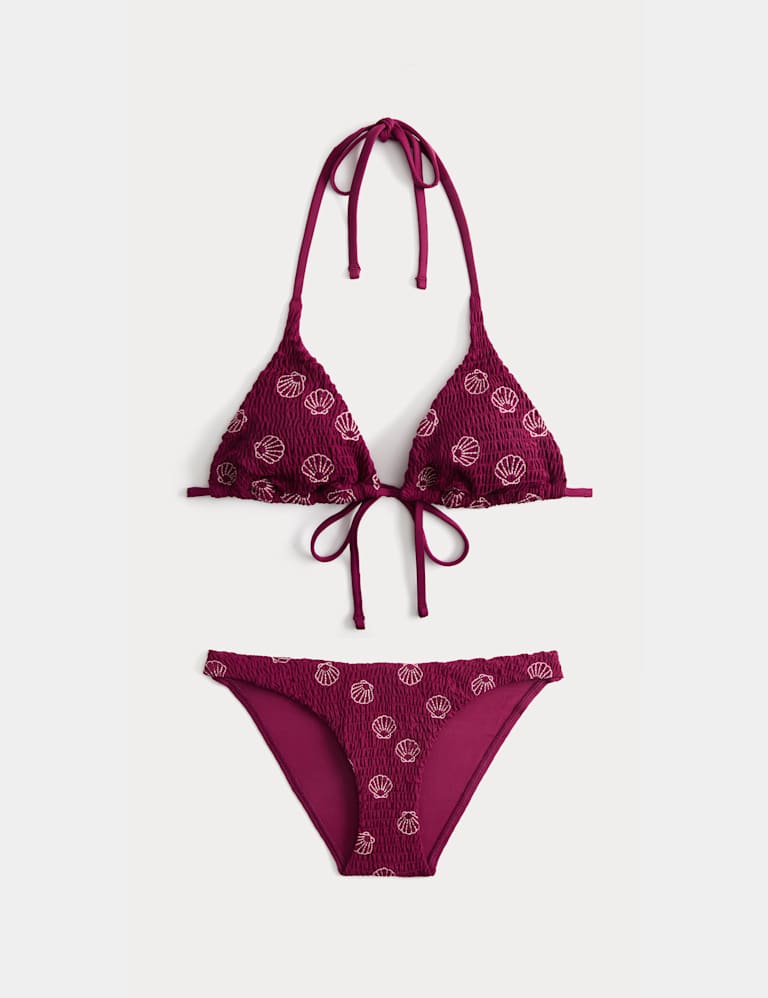 Embroidered Triangle Bikini Set 2 of 6
