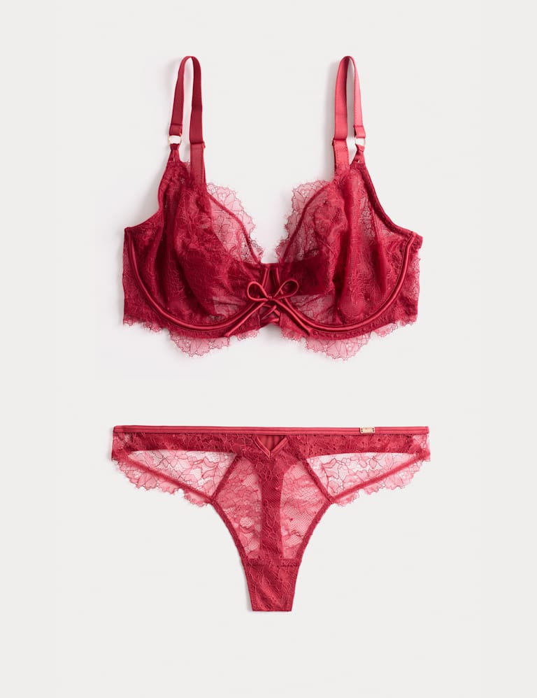 Forget Me Not Lace Wired Plunge Bra Set F-H 2 of 5