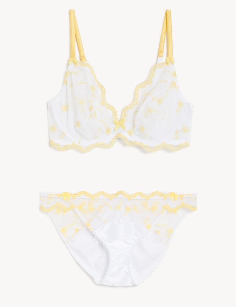 Evaline Wired Plunge Bra Set A-E 2 of 6