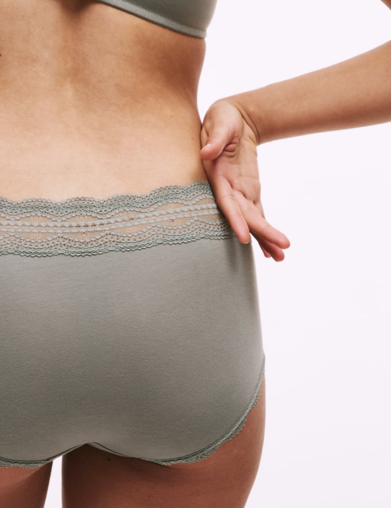 3pk Wired Full Cup T-Shirt Bra Set A-E 6 of 6