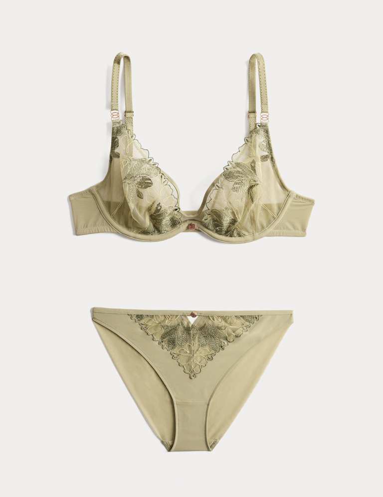 Ianthe Embroidery Wired Plunge Bra Set A-E 2 of 6