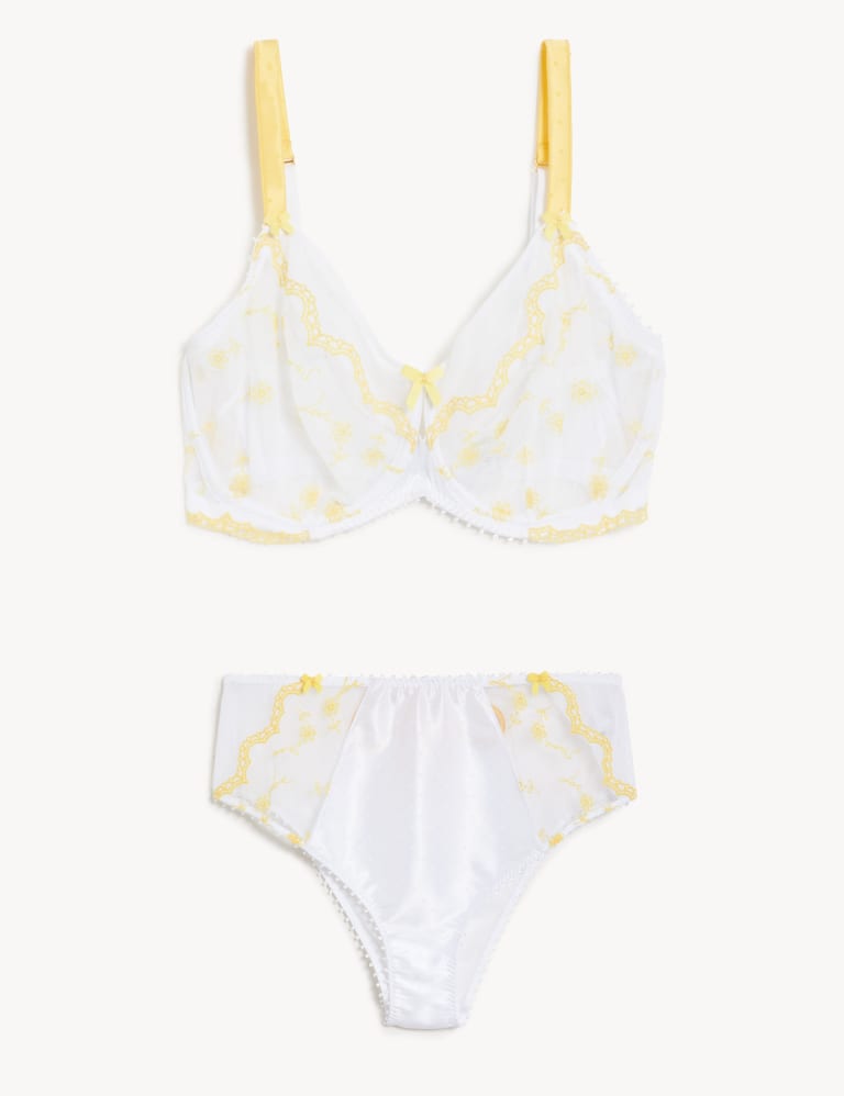 Evaline Wired Minimiser Bra Set C-G 2 of 6
