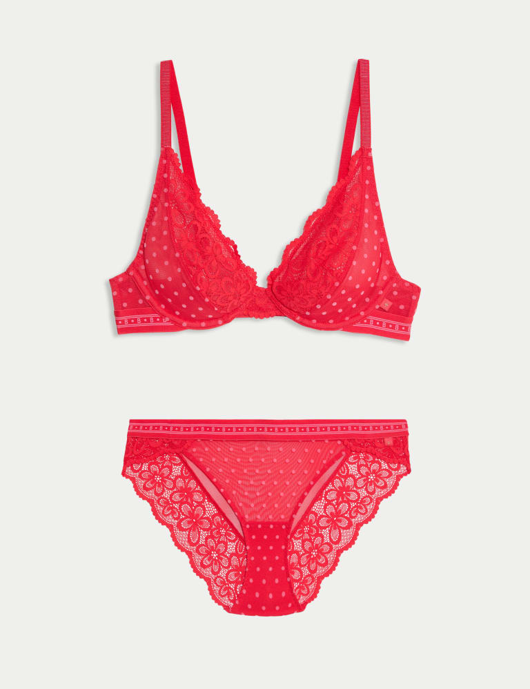 Alma Flock & Lace Wired Plunge Bra Set A-E 2 of 6