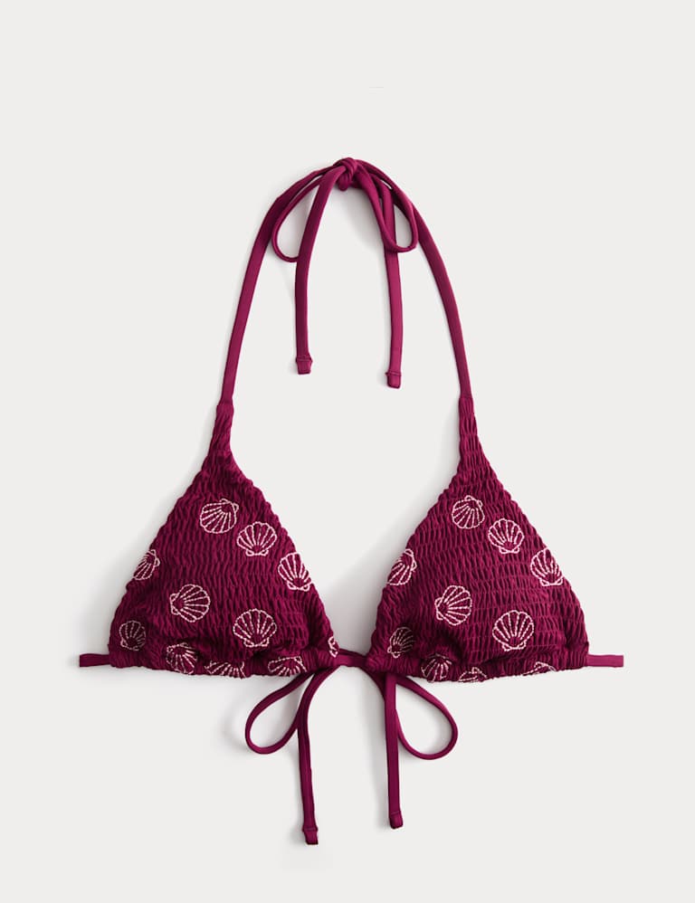 Embroidered Triangle Bikini Set 1 of 6