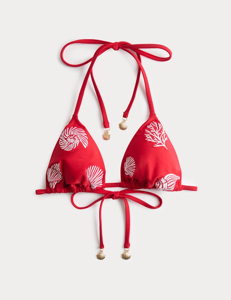 Embroidered Padded Triangle Bikini Set 1 of 6