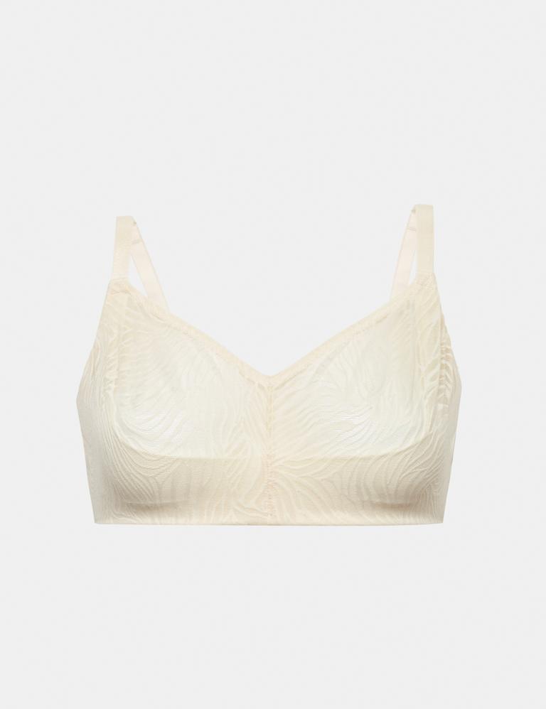 Lace Non Wired Full Cup Bra Set F+ 2 of 6