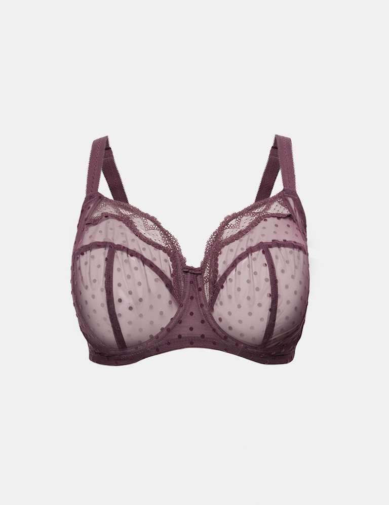 Mesh Wired Extra Support Bra Set F-J 2 of 6