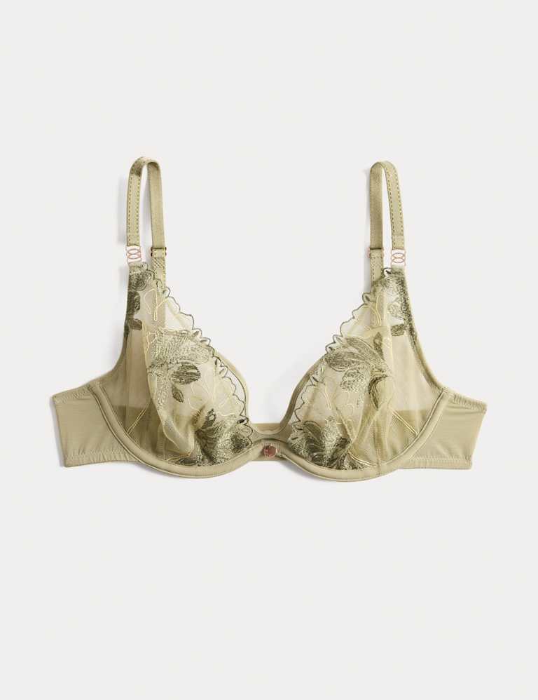 Ianthe Embroidery Wired Plunge Bra Set A-E 2 of 6