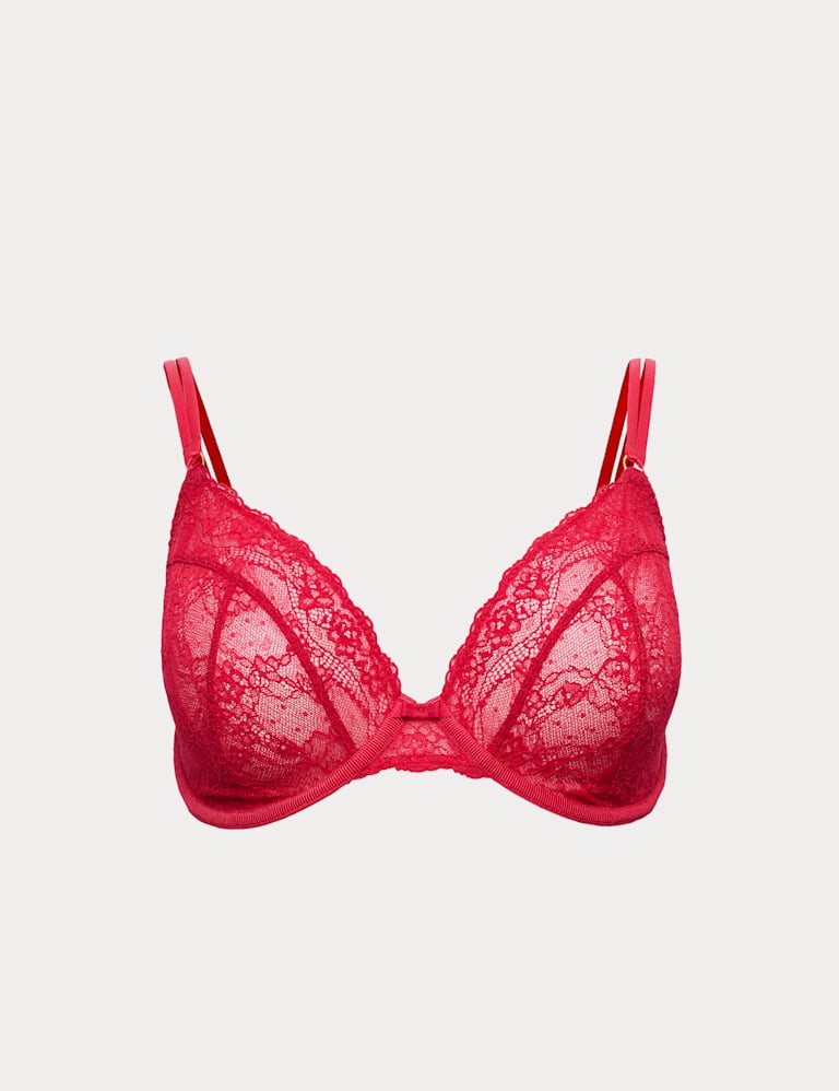 Ida Lace Wired Plunge Bra Set F-H 2 of 6