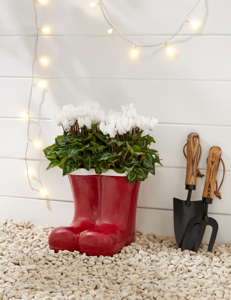 Red boots marks and spencer discount