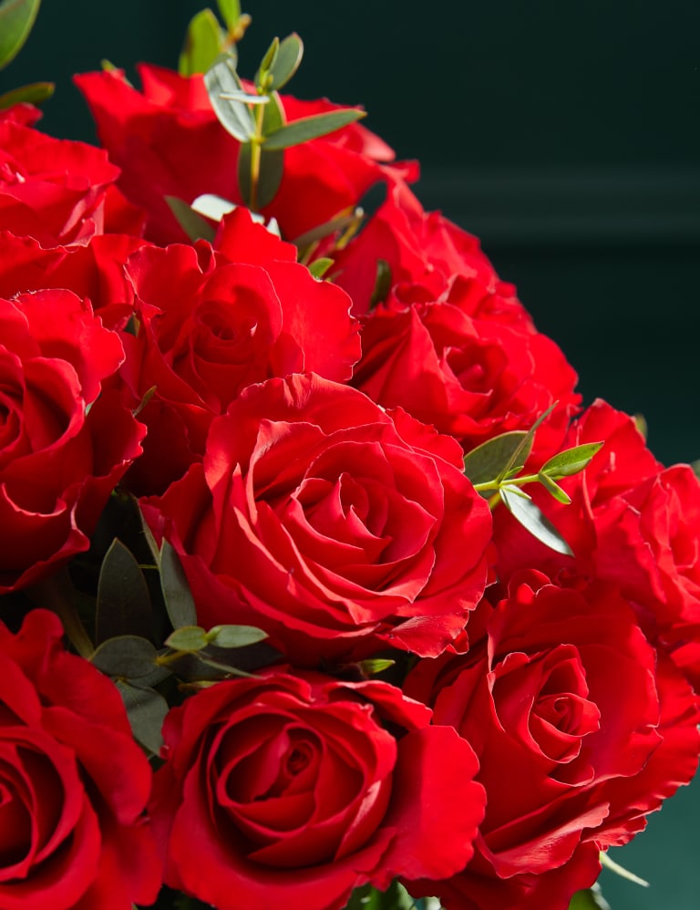 Valentine s Red Rose Gift Bag M S