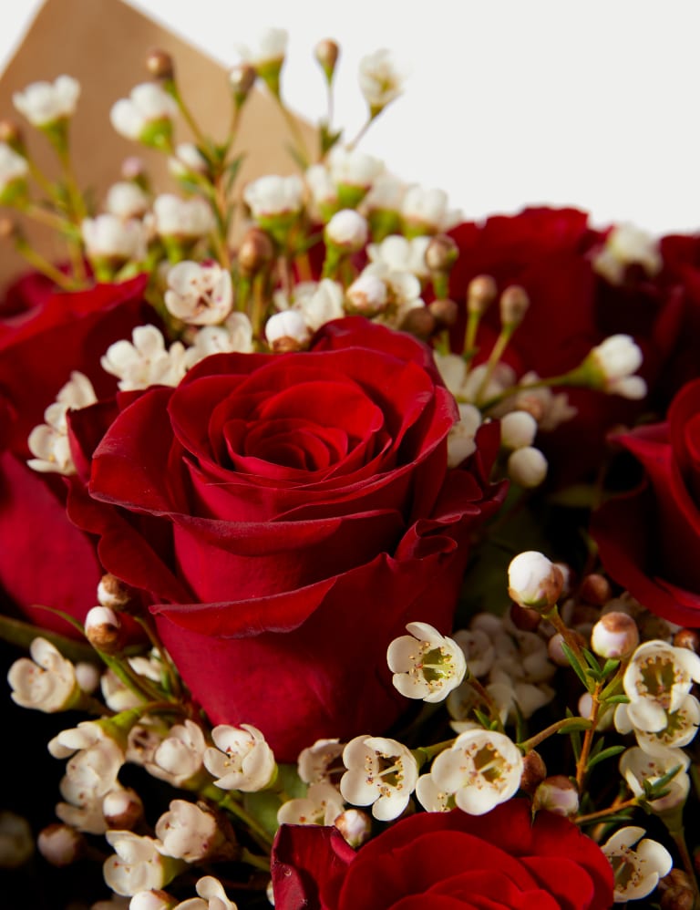 Red rose bag sales
