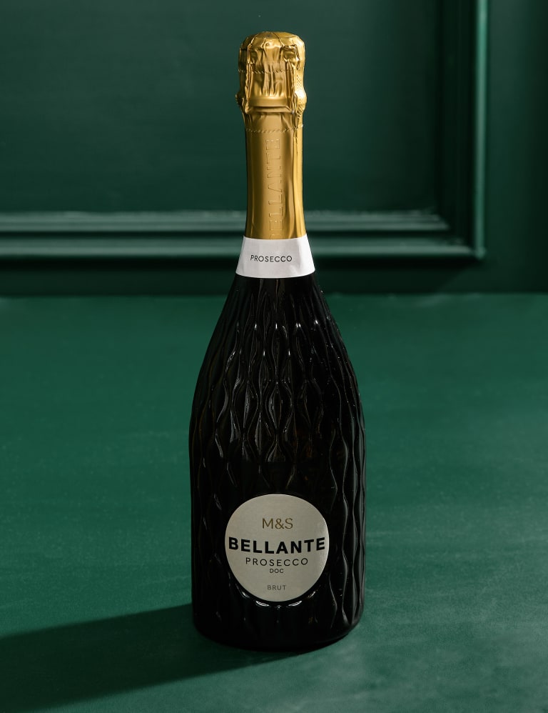 Kalanchoe Gift Bag with Bellante Prosecco M S