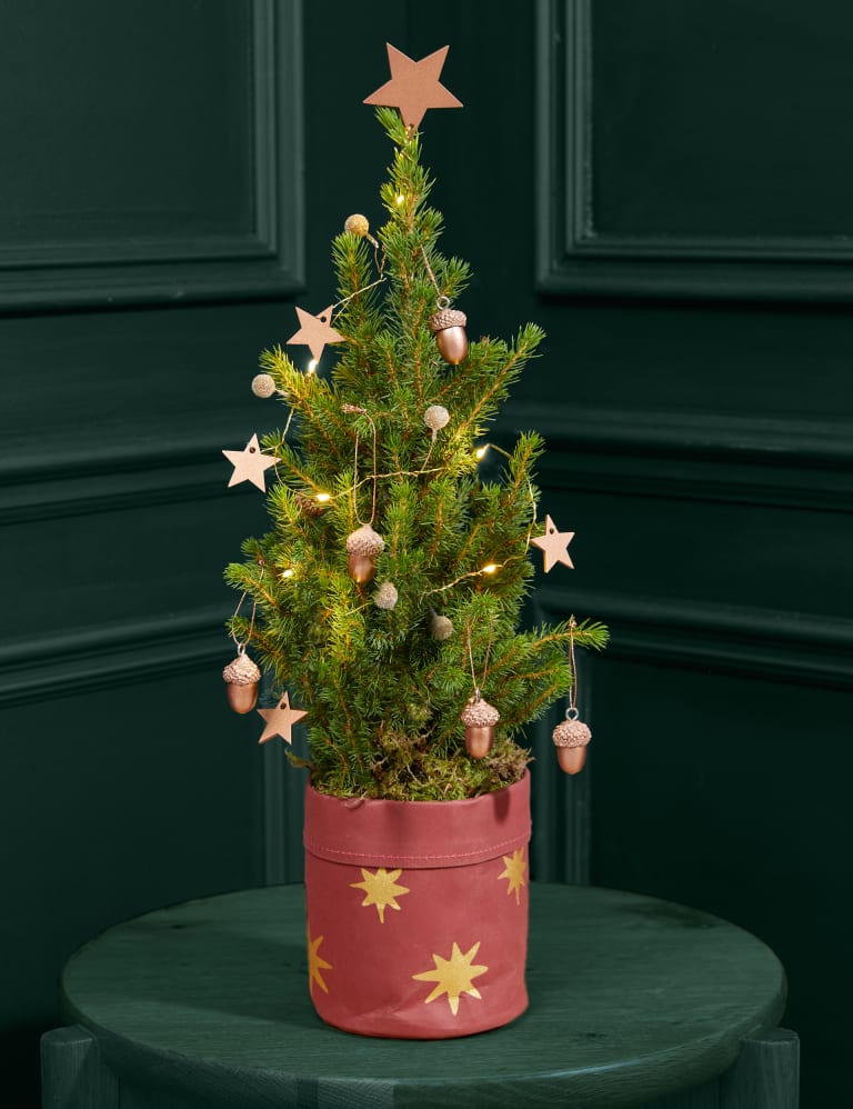 Letterbox christmas tree discount