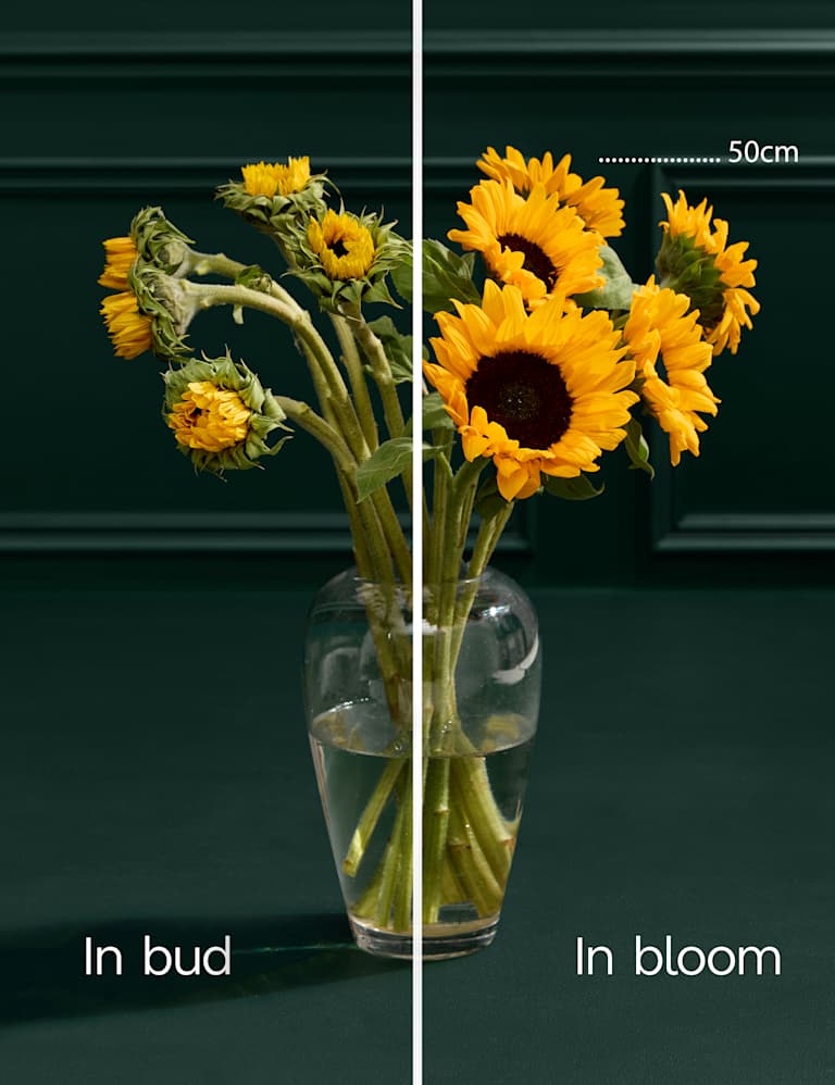 Sunflower Abundance Bouquet with Bellante Prosecco | M&S
