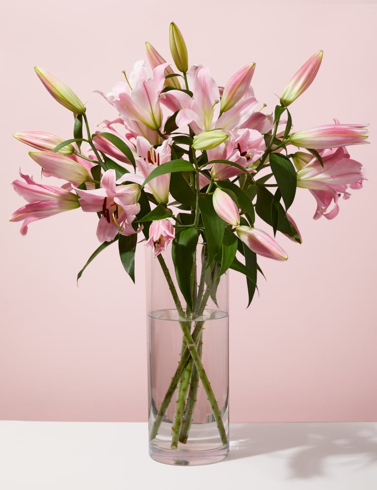 Pink Oriental Lily Abundance 1 of 5